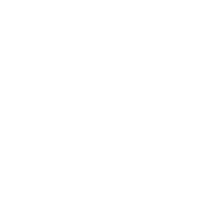 Lotto Icon