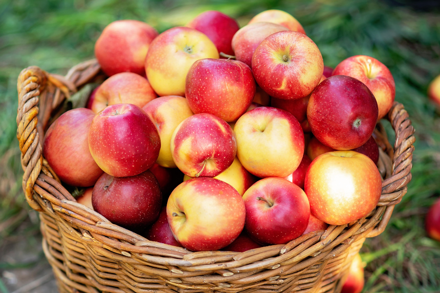 Apfel