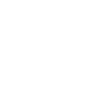 WLAN Icon