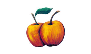 Logo Apfelparadies Bauer