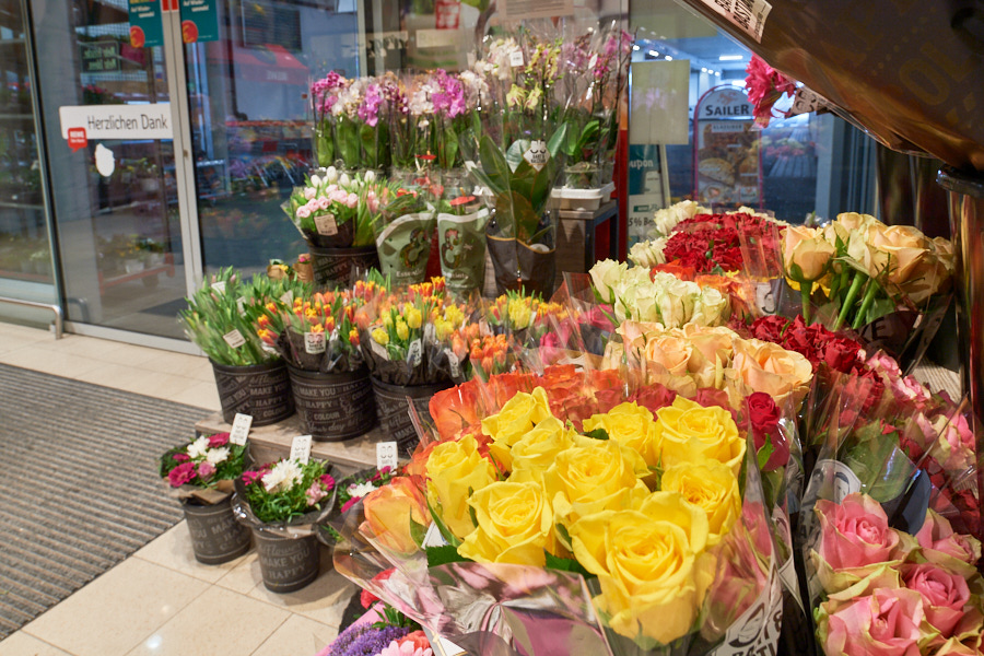 Blumen