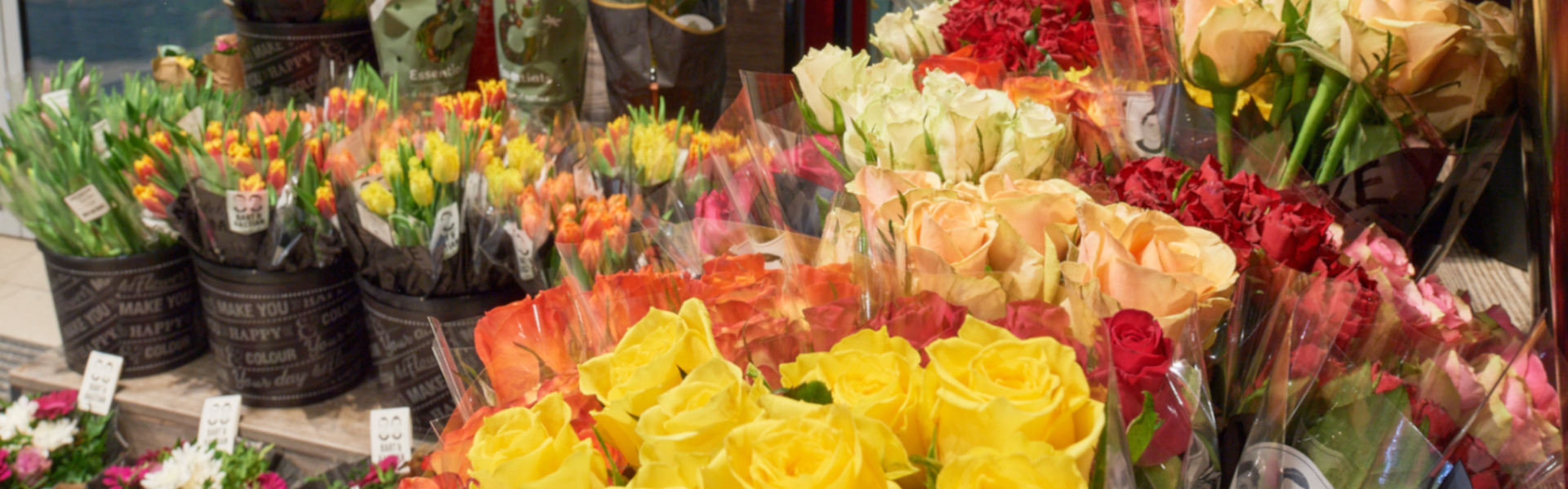 Blumen Blumen